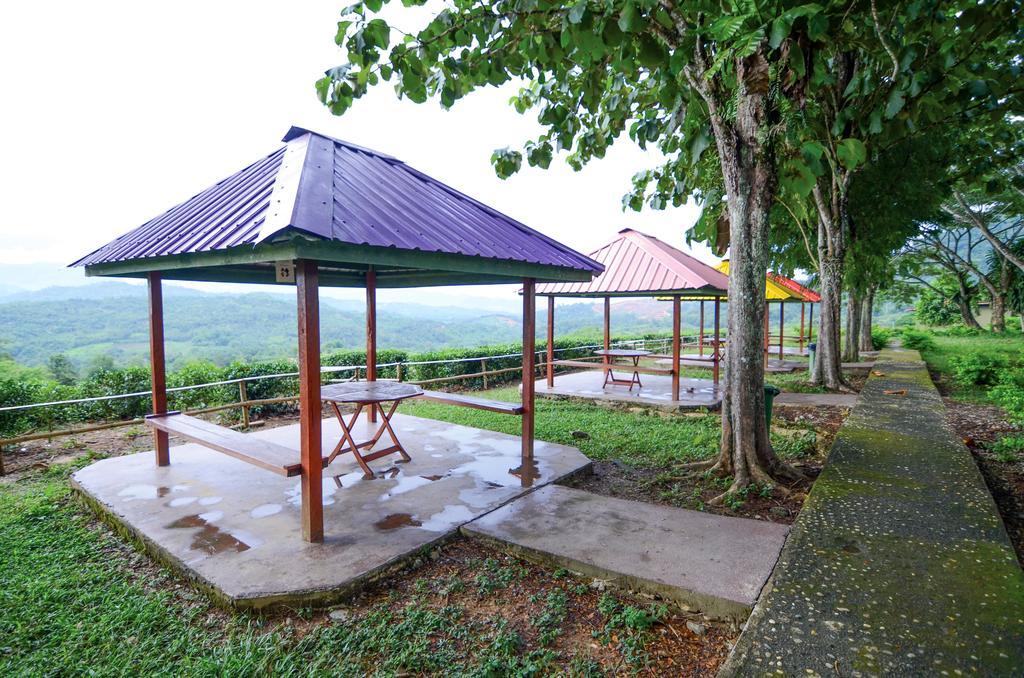 Villa Sabah Tea Garden Ranau Exterior foto
