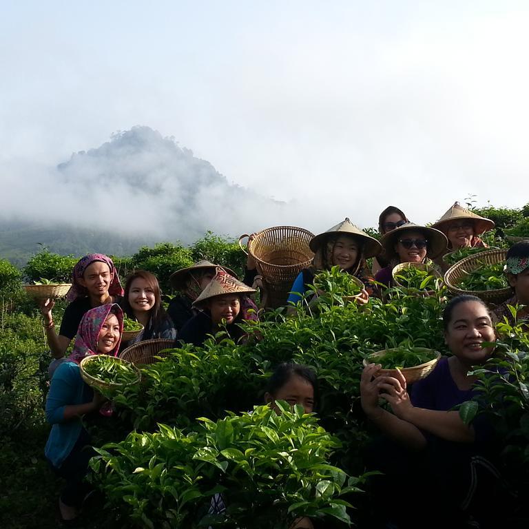 Villa Sabah Tea Garden Ranau Exterior foto