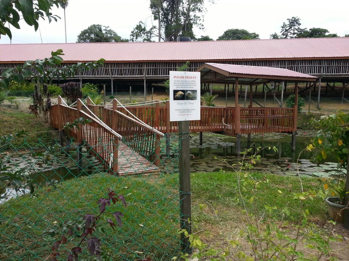 Villa Sabah Tea Garden Ranau Exterior foto