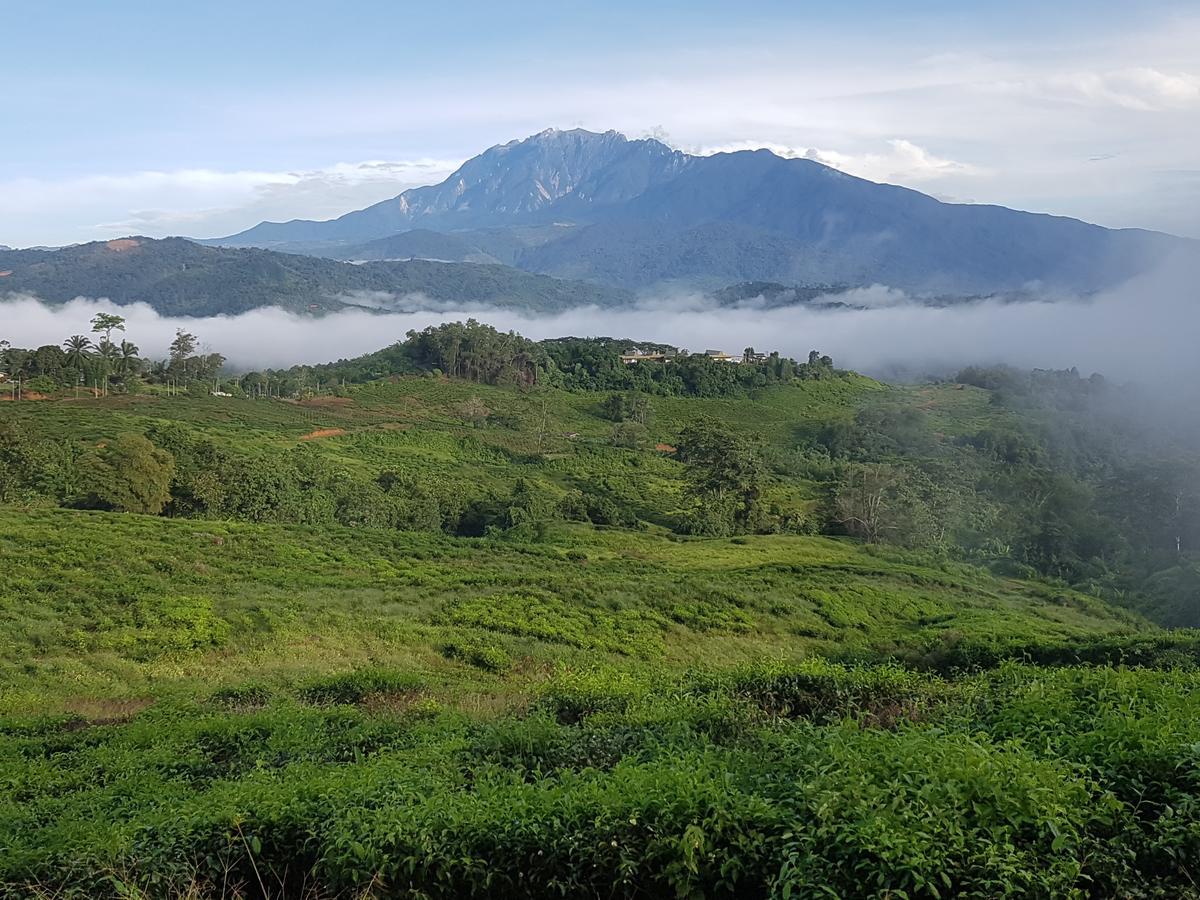Villa Sabah Tea Garden Ranau Exterior foto