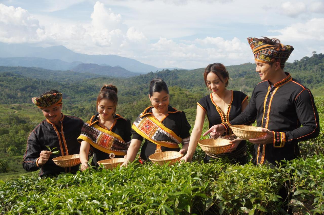 Villa Sabah Tea Garden Ranau Exterior foto