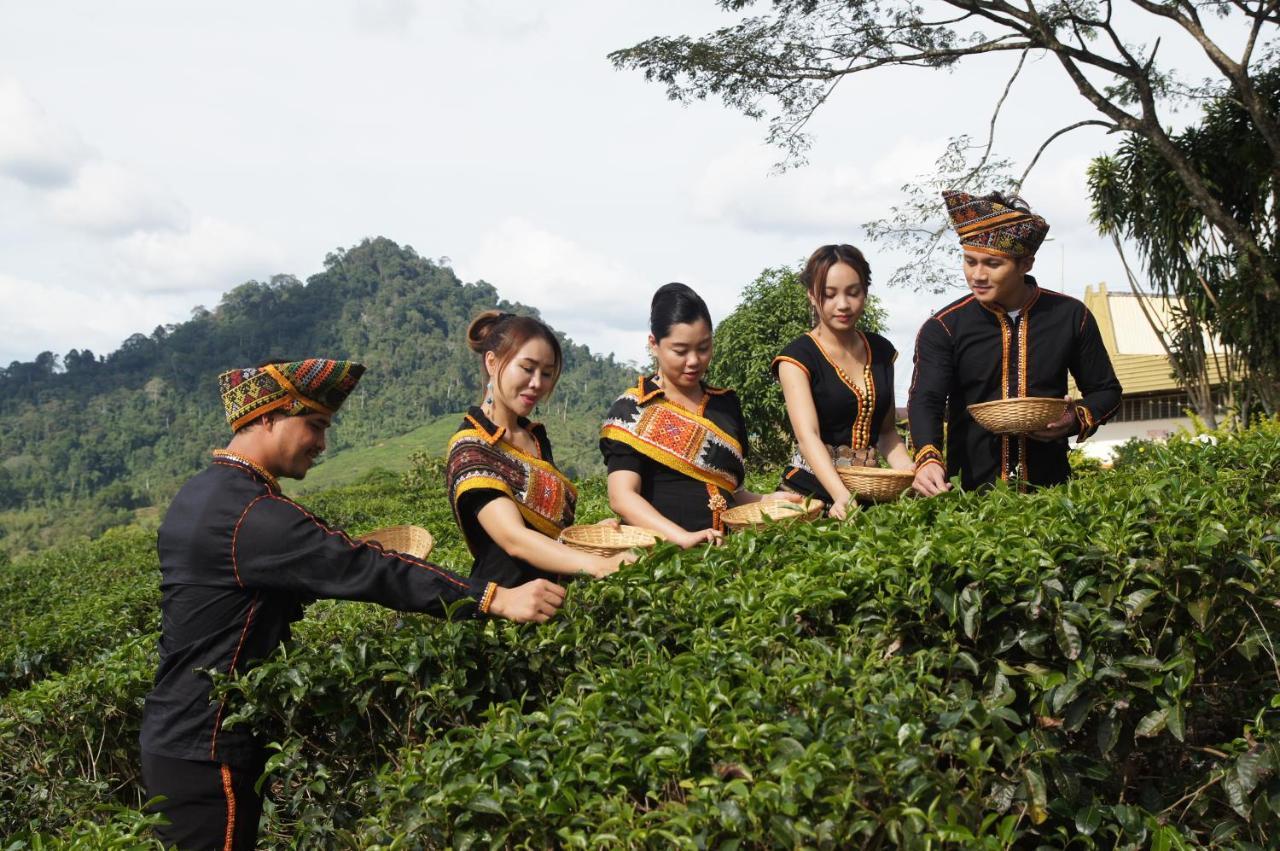 Villa Sabah Tea Garden Ranau Exterior foto
