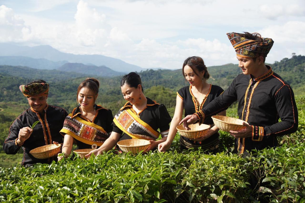 Villa Sabah Tea Garden Ranau Exterior foto