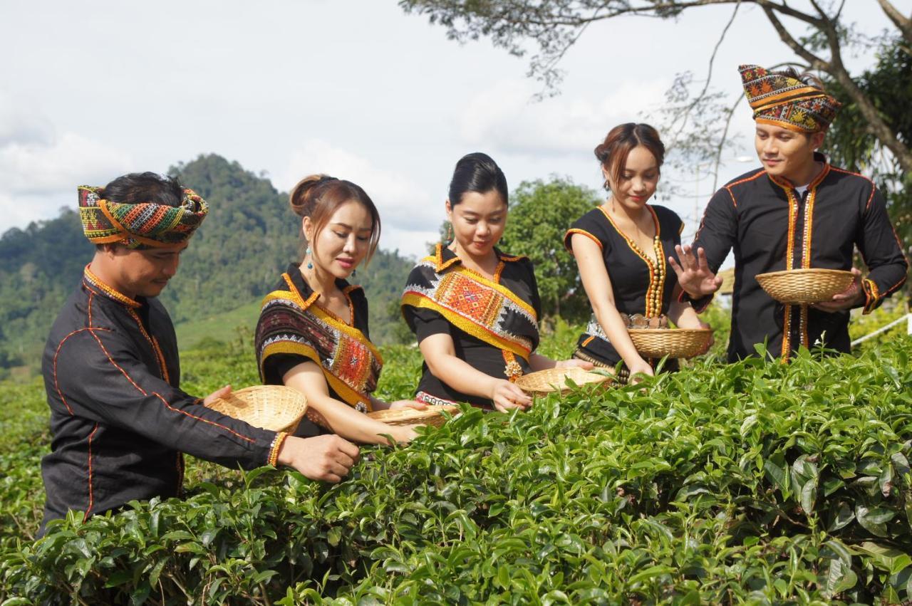 Villa Sabah Tea Garden Ranau Exterior foto