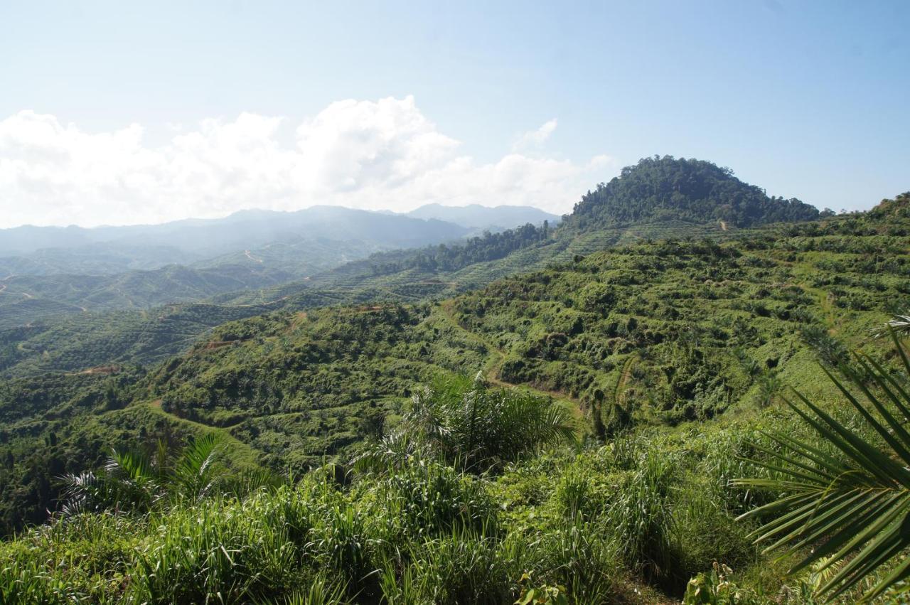 Villa Sabah Tea Garden Ranau Exterior foto